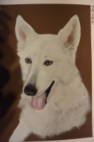 /album/galerie-photos/dsc-1050-jpg/