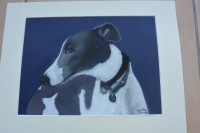 /album/galerie-photos/dsc-1068-jpg/