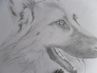 /album/galerie-photos/sam-9067-jpg/