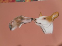 /album/galerie-photos/sam-9076-jpg/