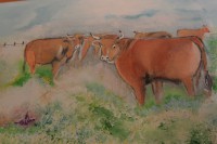 /album/galerie-photos/dsc-1781-jpg/