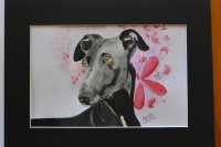 /album/galerie-photos/dsc-1907-jpg/