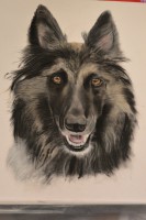 /album/galerie-photos/dsc-1972-jpg/