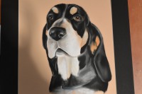 /album/galerie-photos/dsc-2012-jpg/