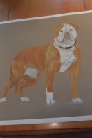 /album/galerie-photos/dsc-2034-jpg/