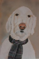 /album/galerie-photos/dsc-2514-jpg/