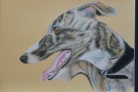 /album/galerie-photos/dsc-2207-jpg/