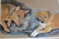 /album/galerie-photos/dsc-2016-jpg/