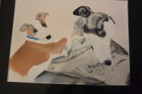 /album/galerie-photos/dsc-2057-jpg/