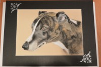 /album/galerie-photos/dsc-2092-jpg/