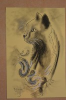 /album/chats/dsc-2401-jpg/