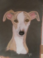 /album/galerie-photos/sam-9022-jpg/